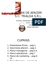 Plan de Afaceri