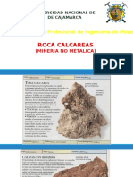 Fisico Quimica Rocas Calcareas