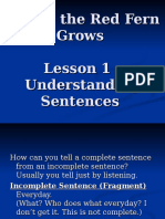 Where The Red Fern Grows Lesson 1 - Understanding Sentences