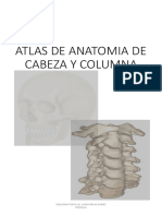 311163427-IMAGENES-de-Anatomia-de-Cabeza-y-Columna.pdf