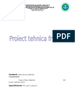 Proiect Tehnica Frigului - Pepene Galben