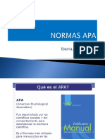 Normas Apa Aamv