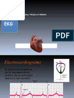 Ekg Exposicion 2016