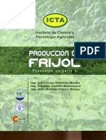 Manual de Producción Frijol ICTA