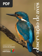 Observação de Aves Em Portugal
