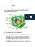 Materi Fistum