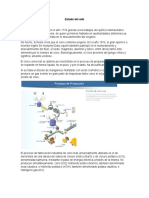 Producción cloro electrolisis salmuera