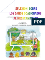 Relexion Ambiental