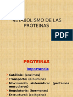 URP Metabolismo de Las Proteinas