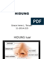 hidung