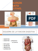 Fisiologia Del Aparato Digestivo