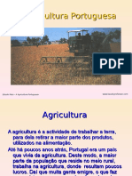 A Agricultura Portuguesa.ppt