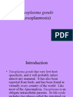 Toxoplasma Gondii: (Toxoplasmosis)