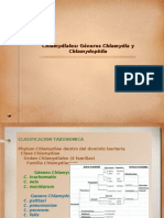 Clase 13. Generos Chlamydia y Chlamydophila 2007.