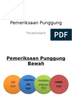 Pemeriksaan Punggung