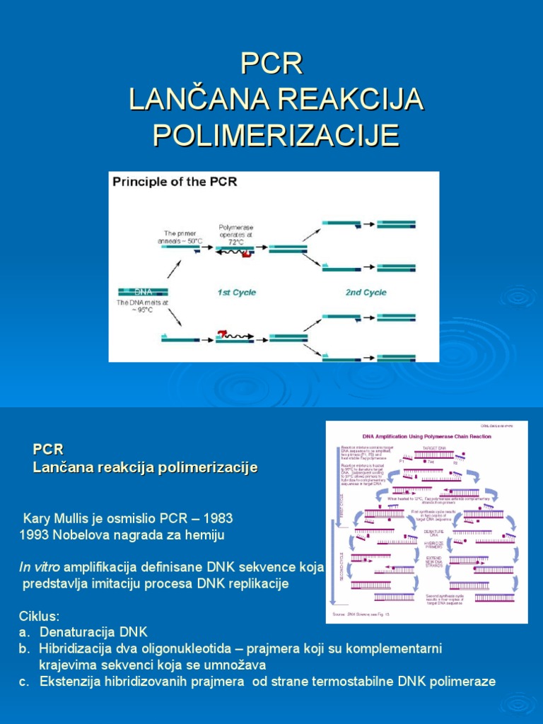 4. PCR 3