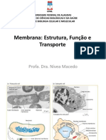 Membrana Celular: Estrutura e Função