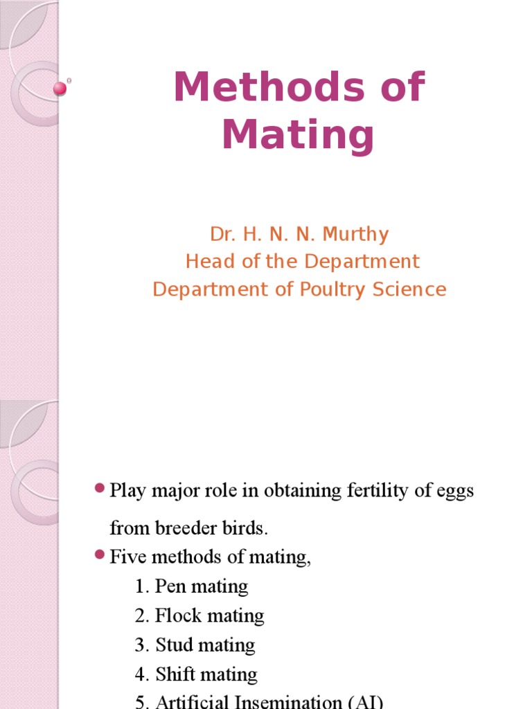 Poultry Mating Methods Explained | PDF | Horse Breeding | Chicken