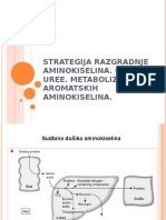 5strategija Razgradnje AK Ciklus Uree Metabolizam Aromatskih AK