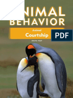 Animal Behavior - Courtship