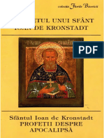 Petru Botsi - Portretul Unui Sfant_Ioan de Kronstadt