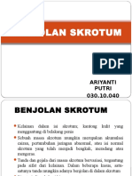 PPT BENJOLAN SKROTUM