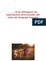 Los perros distinguen las expresiones emocionales del resto del lenguaje humano