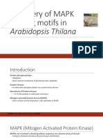 Discovery of Binding Motif of MAPK