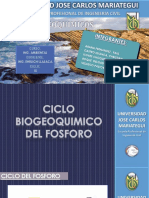 Ing. Ambiental Christian Ciclos Biogeoquimicos
