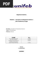 Relatorio Leito Fluidizado