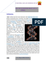ADN Y ARN.docx