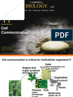 Biology Biology: Cell Communication