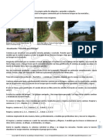 Ejercicio_visualización_guiada-El_bosque.pdf