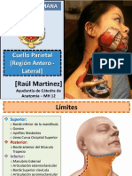 Cuello.pdf