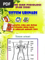 Download ANATOMI  FISIOLOGI-SISTEM URINARI by Pohon Hijau SN31914341 doc pdf