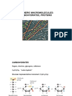 Polymeric Macromolecules: Carbohydrates, Proteins