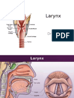 The Larynx: Structure, Function and Clinical Notes