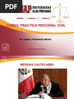 Ayudas 7 - Practica Procesal Civil