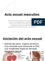 Acto Sexual Masculino