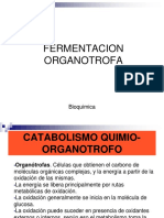 8.- Fermentacion Organotrofa (1)