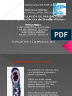 Exposicion de Ciclo de Esporulación