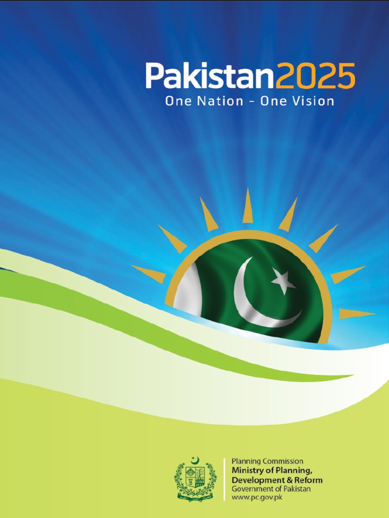 Pakistan Vision 2025 PDF PDF Millennium Development Goals