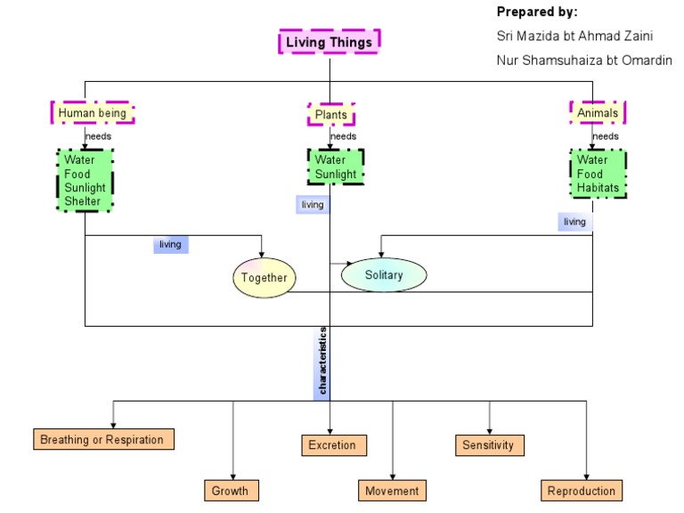Concept Map Of Living And Nonliving Things Concept Map - Living Things | Pdf