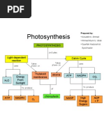 Lab paq photosynthesis and respiration picture