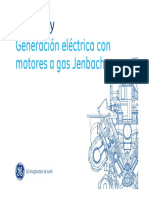 Generacion electrica con motores a Gas