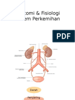 Anatomi & Fisiologi Sistem Perkemihan