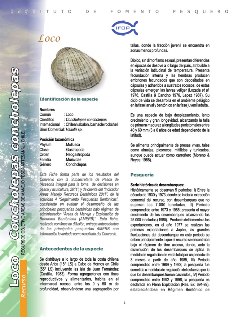 Manejo y Pesca del Loco en Chile | PDF | Pesquería | Naturaleza
