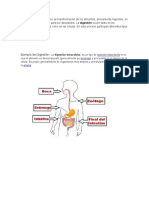 La Digestion 