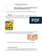 Implicatia Enterobacteriilor Cu Patogenitate Certa in Etiolo