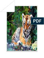 Tiger 09